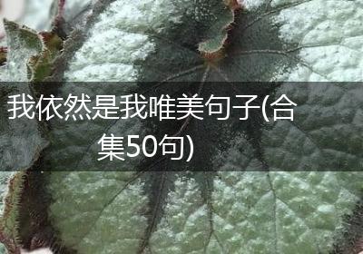 我依然是我唯美句子(合集50句)