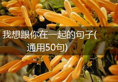 我想跟你在一起的句子(通用50句)