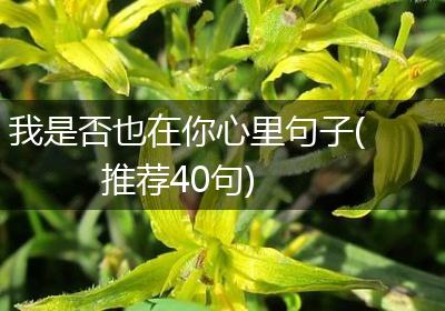 我是否也在你心里句子(推荐40句)