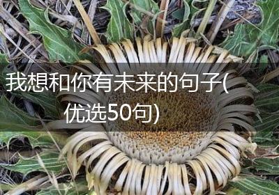 我想和你有未来的句子(优选50句)