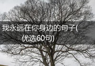 我永远在你身边的句子(优选60句)