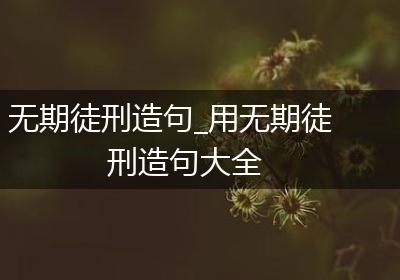 无期徒刑造句_用无期徒刑造句大全