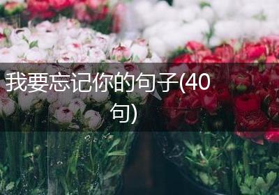 我要忘记你的句子(40句)