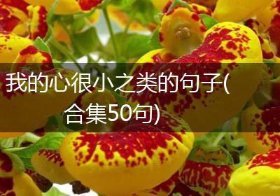 我的心很小之类的句子(合集50句)