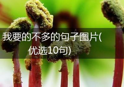 我要的不多的句子图片(优选10句)