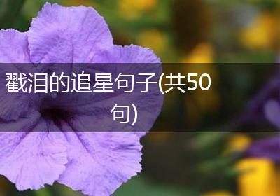 戳泪的追星句子(共50句)