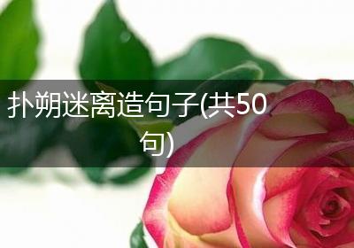 扑朔迷离造句子(共50句)