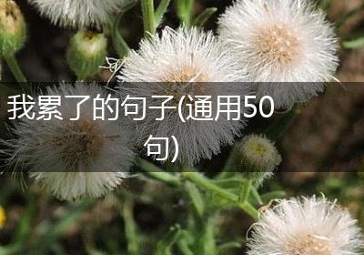 我累了的句子(通用50句)