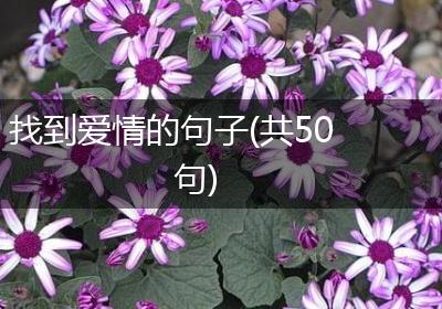 找到爱情的句子(共50句)