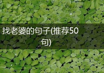 找老婆的句子(推荐50句)