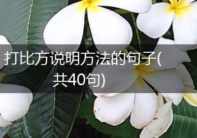 打比方说明方法的句子(共40句)