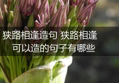 狭路相逢造句 狭路相逢可以造的句子有哪些