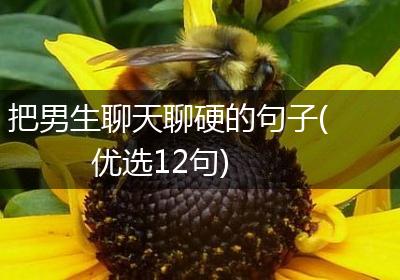 把男生聊天聊硬的句子(优选12句)