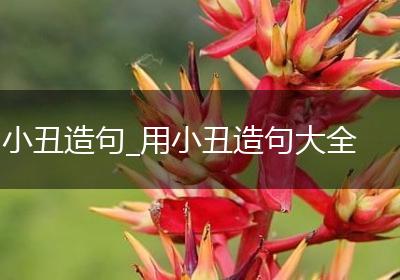 小丑造句_用小丑造句大全