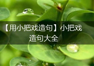 【用小把戏造句】小把戏造句大全