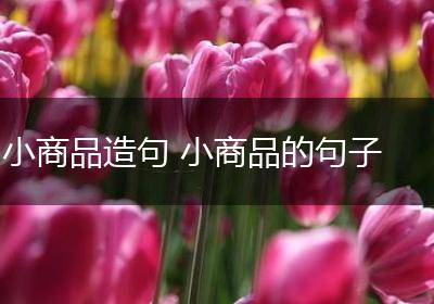 小商品造句 小商品的句子