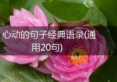心动的句子经典语录(通用20句)