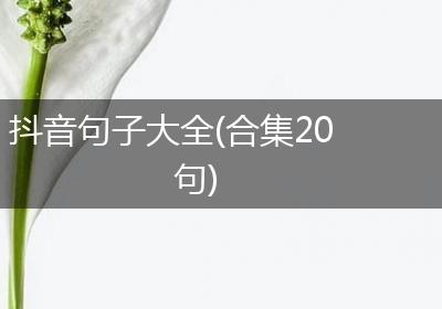 抖音句子大全(合集20句)