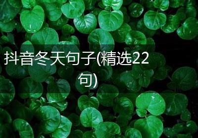 抖音冬天句子(精选22句)