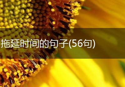 拖延时间的句子(56句)