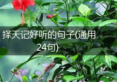 择天记好听的句子(通用24句)