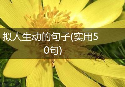 拟人生动的句子(实用50句)