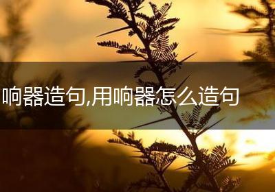 响器造句,用响器怎么造句