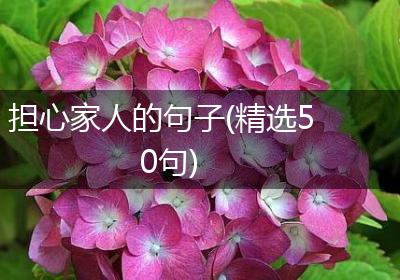 担心家人的句子(精选50句)