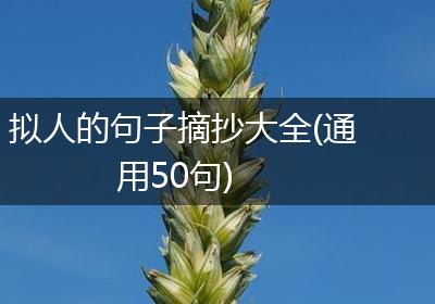 拟人的句子摘抄大全(通用50句)