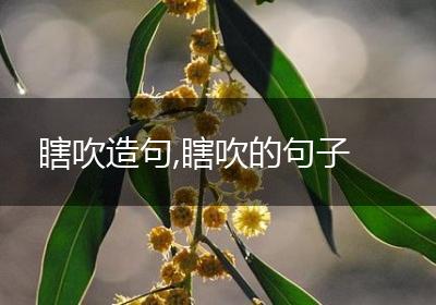 瞎吹造句,瞎吹的句子