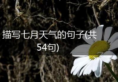 描写七月天气的句子(共54句)