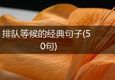 排队等候的经典句子(50句)