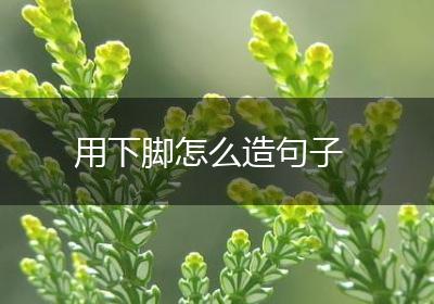 用下脚怎么造句子