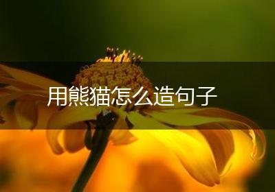 用熊猫怎么造句子