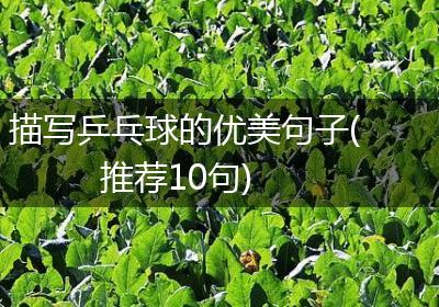 描写乒乓球的优美句子(推荐10句)
