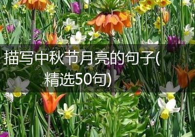描写中秋节月亮的句子(精选50句)