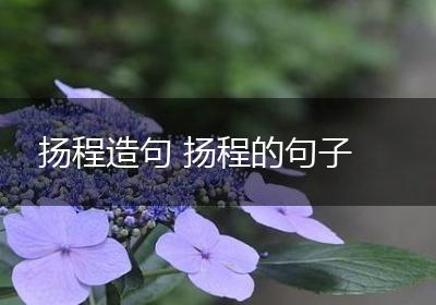 扬程造句 扬程的句子