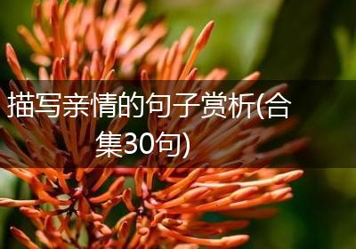 描写亲情的句子赏析(合集30句)