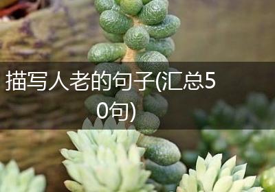 描写人老的句子(汇总50句)