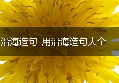 沿海造句_用沿海造句大全