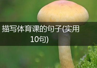 描写体育课的句子(实用10句)