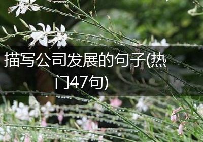 描写公司发展的句子(热门47句)