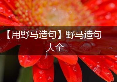 【用野马造句】野马造句大全