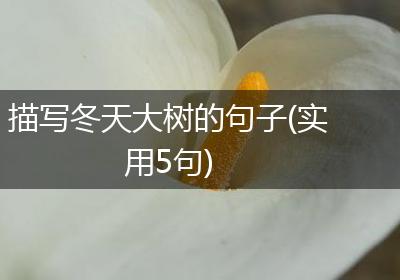 描写冬天大树的句子(实用5句)
