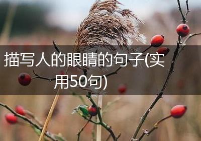 描写人的眼睛的句子(实用50句)