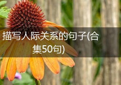 描写人际关系的句子(合集50句)