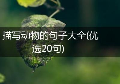 描写动物的句子大全(优选20句)