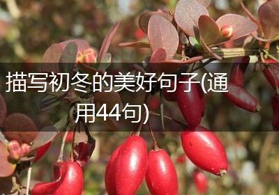 描写初冬的美好句子(通用44句)