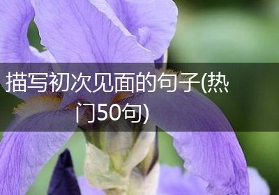 描写初次见面的句子(热门50句)
