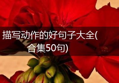 描写动作的好句子大全(合集50句)